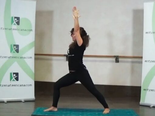 Practica 1